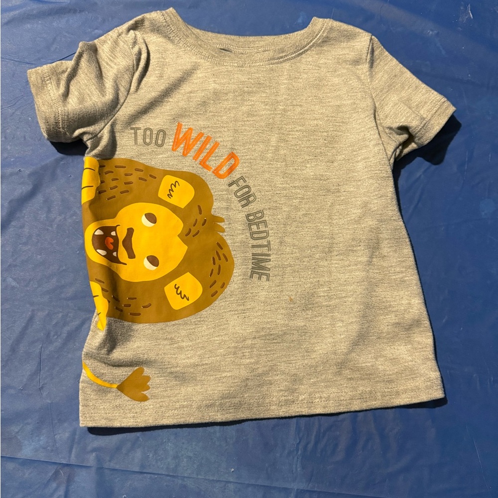 Gray Kids Lion Graphic T-Shirt